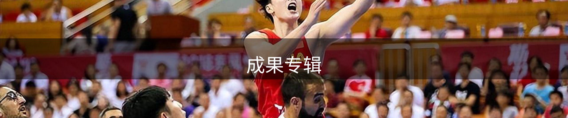 成果专辑
