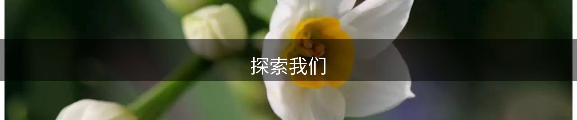 探索我们